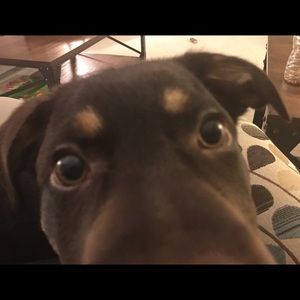 Meet your Posher, Kelly